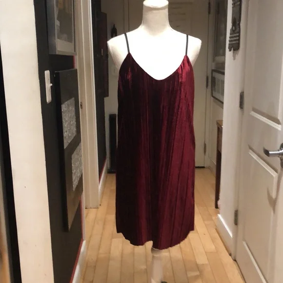 🇺🇸 Tart Burgundy Velvet Dress - Small - Picture 3 of 12